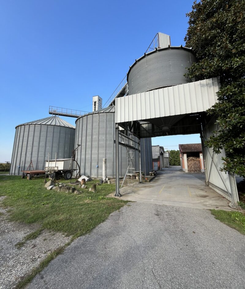 Proprietà e impianto essiccazione Mais