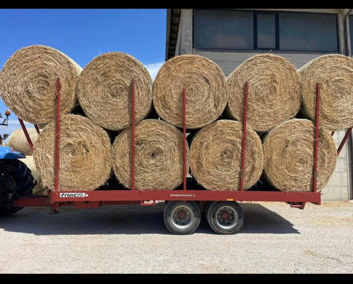 Pianale FRANCINI CB 120