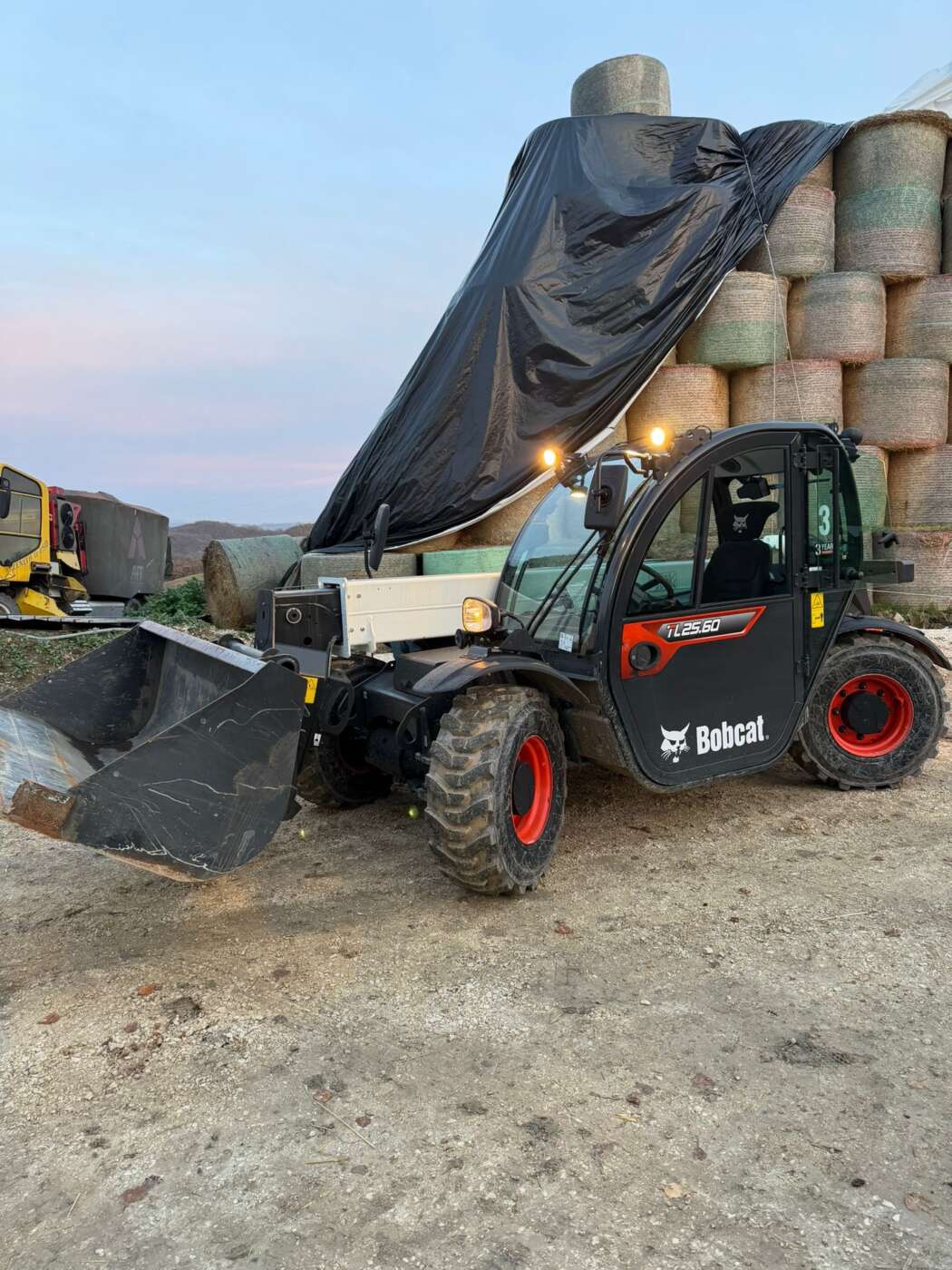 Sollevatore Telescopico BOBCAT TL25-60