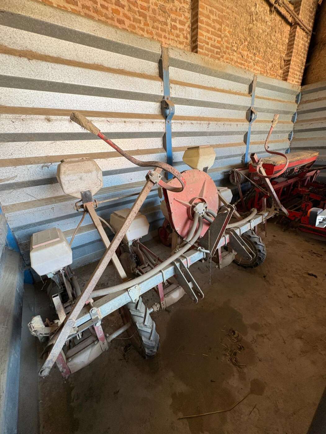 Seminatrice PIGOLI 4 file