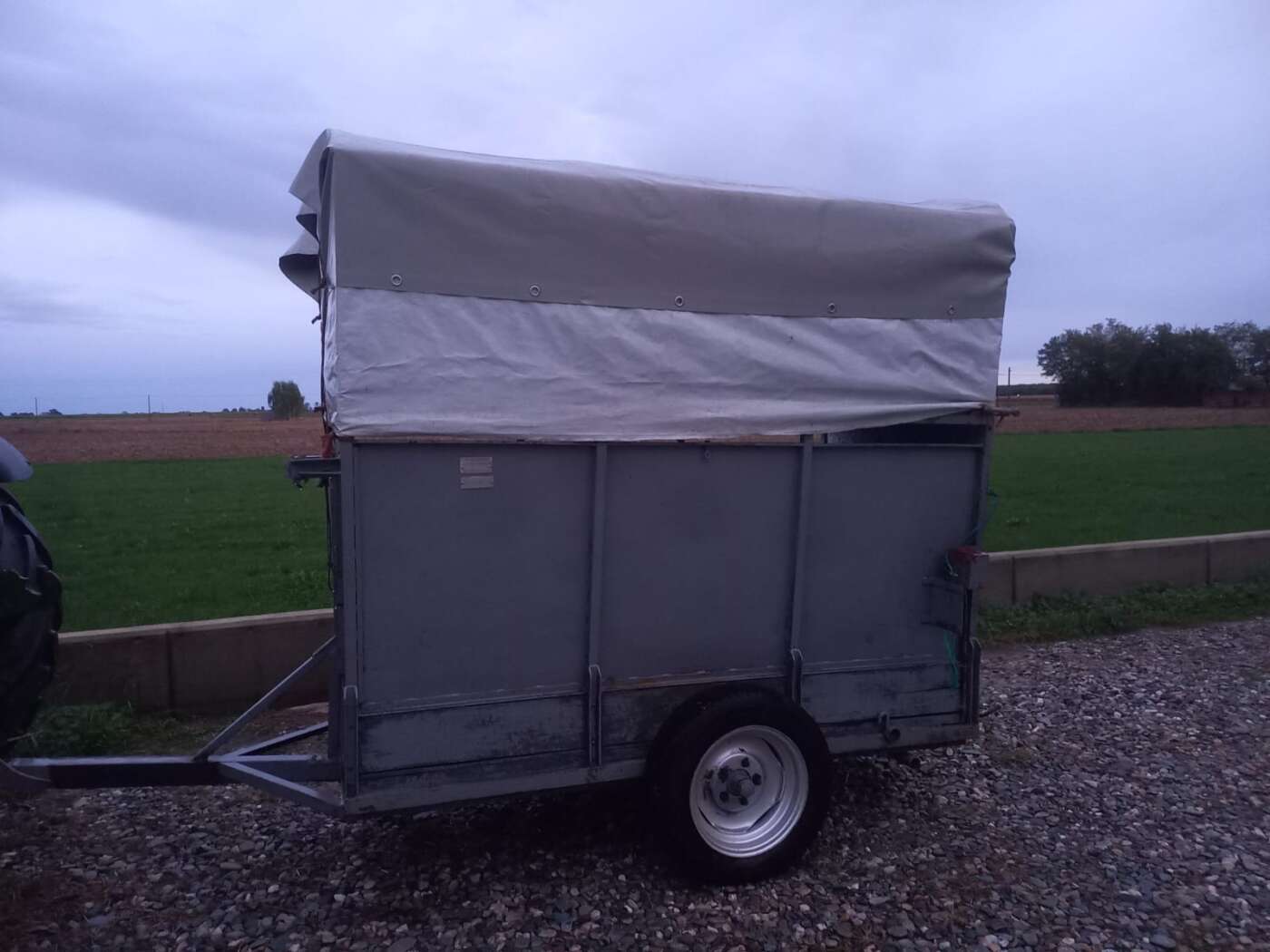 Biga trasporto animali ASL